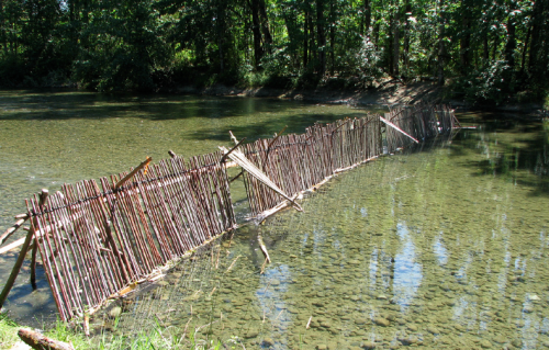 Cowichan fish weir reconstruction.  Photo by flickr user klahowya.