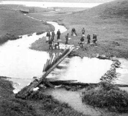 Natives dividing the fish from the trap.  Nikolski, Aleutians. ca. 1938. Source: http://vilda.alaska.edu/cdm/singleitem/collection/cdmg13/id/7679/rec/39