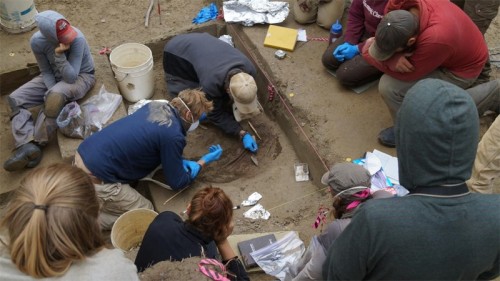 Excavations at the Upper Sun River Site, Tanana Valley, Alaska. Photo: Ben Potter